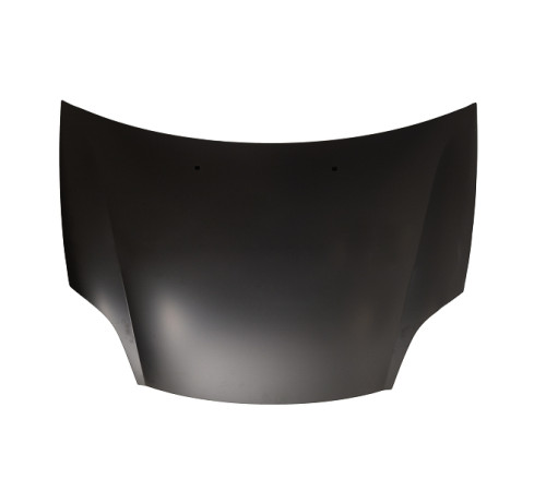 Капот Фиат Браво 3DR/5DR 07-, TYG